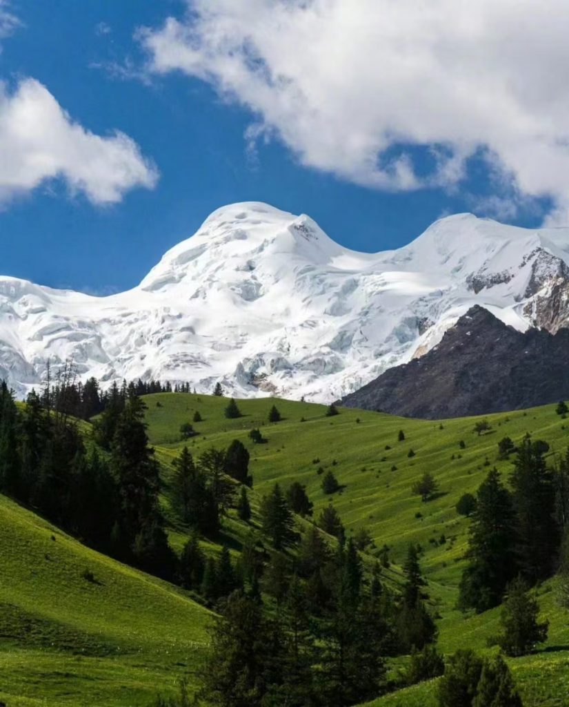 探索世界之最，启程新奇之旅